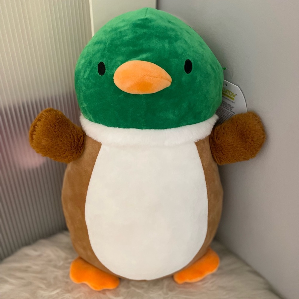 Squishmallow Avery the Mallard Duck HugMee 14